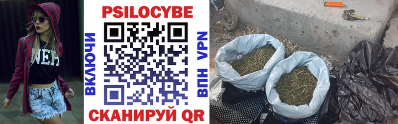 Галлюциногенные грибы MAGIC MUSHROOMS  Купить  Иннополис 